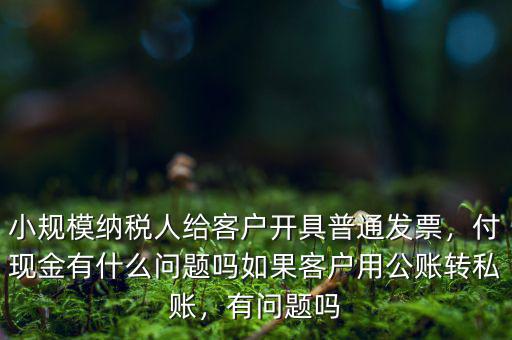 小規(guī)模納稅人給客戶開具普通發(fā)票，付現(xiàn)金有什么問題嗎如果客戶用公賬轉(zhuǎn)私賬，有問題嗎