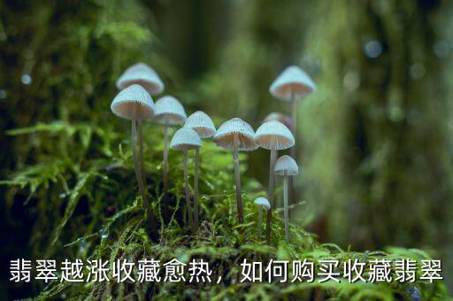 翡翠越漲收藏愈熱，如何購買收藏翡翠