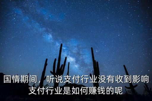 國情期間，聽說支付行業(yè)沒有收到影響支付行業(yè)是如何賺錢的呢