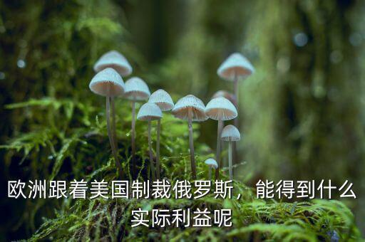 歐洲跟著美國制裁俄羅斯，能得到什么實際利益呢
