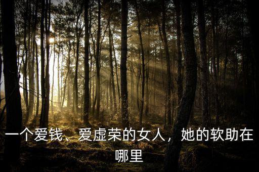 一個(gè)愛錢、愛虛榮的女人，她的軟助在哪里