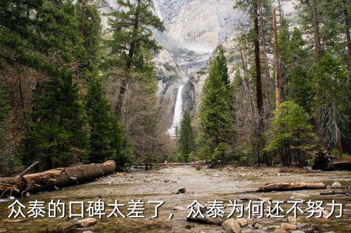 眾泰的口碑太差了，眾泰為何還不努力