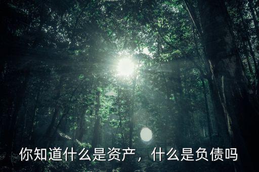 你知道什么是資產(chǎn)，什么是負(fù)債嗎