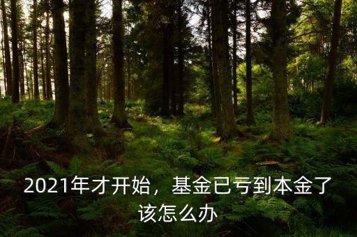2021年才開始，基金已虧到本金了該怎么辦