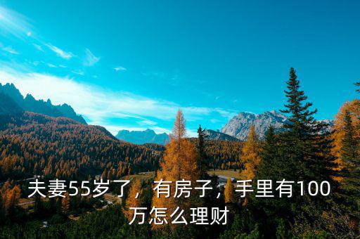 夫妻55歲了，有房子，手里有100萬怎么理財