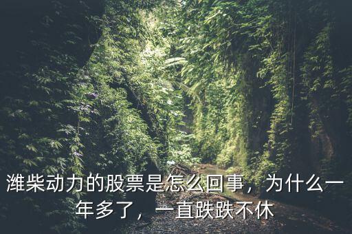 濰柴動(dòng)力的股票是怎么回事，為什么一年多了，一直跌跌不休