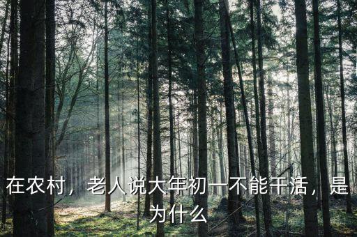 在農(nóng)村，老人說大年初一不能干活，是為什么