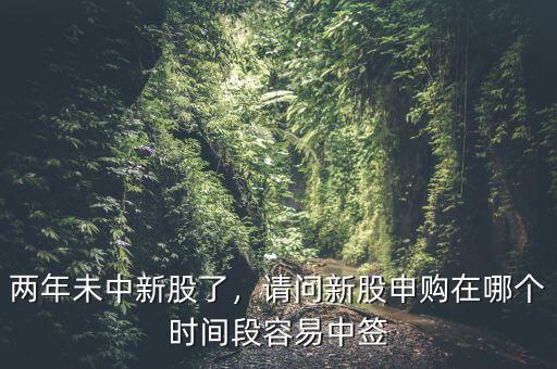 兩年未中新股了，請問新股申購在哪個(gè)時(shí)間段容易中簽