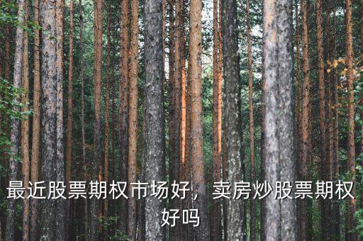 最近股票期權(quán)市場(chǎng)好，賣房炒股票期權(quán)好嗎