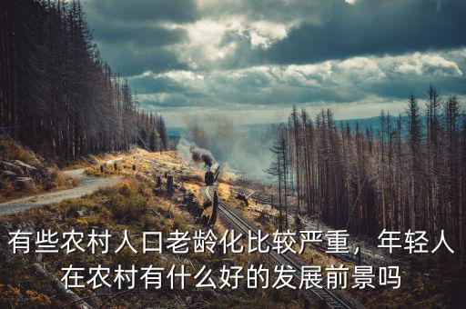 有些農(nóng)村人口老齡化比較嚴(yán)重，年輕人在農(nóng)村有什么好的發(fā)展前景嗎