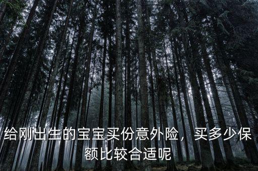 給剛出生的寶寶買份意外險(xiǎn)，買多少保額比較合適呢