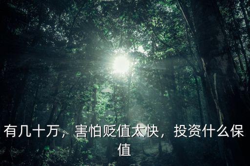 有幾十萬，害怕貶值太快，投資什么保值