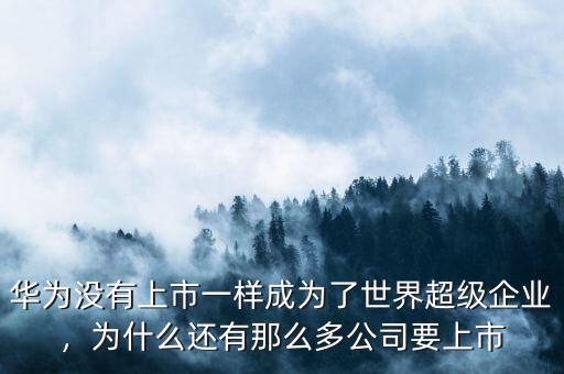 華為沒(méi)有上市一樣成為了世界超級(jí)企業(yè)，為什么還有那么多公司要上市