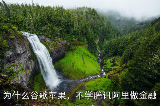 為什么谷歌蘋果，不學(xué)騰訊阿里做金融