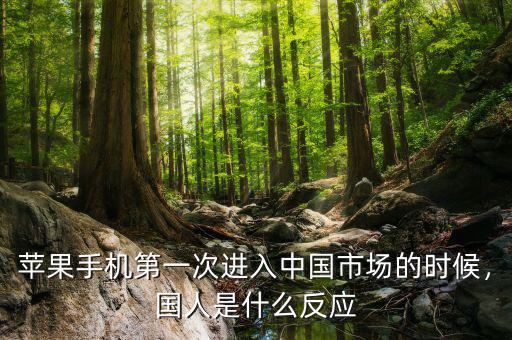 蘋果手機(jī)第一次進(jìn)入中國(guó)市場(chǎng)的時(shí)候，國(guó)人是什么反應(yīng)