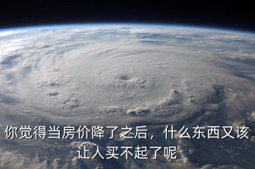 你覺得當(dāng)房?jī)r(jià)降了之后，什么東西又該讓人買不起了呢