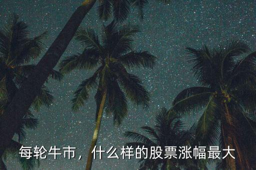 每輪牛市，什么樣的股票漲幅最大