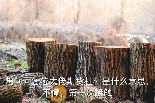 想問(wèn)問(wèn)各位大佬期貨杠桿是什么意思，不懂，第一次接觸