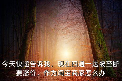今天快遞告訴我，現(xiàn)在四通一達(dá)被壟斷要漲價(jià)，作為淘寶商家怎么辦