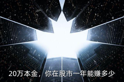 20萬本金，你在股市一年能賺多少