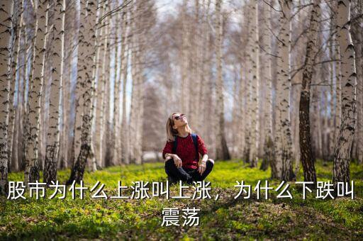 股市為什么上漲叫上漲，為什么下跌叫震蕩