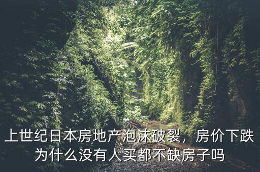 上世紀日本房地產(chǎn)泡沫破裂，房價下跌為什么沒有人買都不缺房子嗎