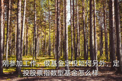 剛參加工作，做基金定投如何另外，定投股票指數(shù)型基金怎么樣