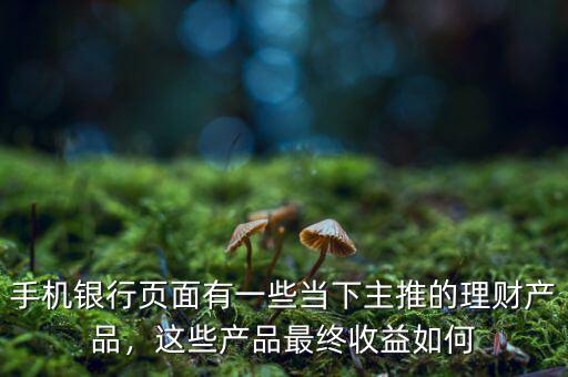 手機(jī)銀行頁(yè)面有一些當(dāng)下主推的理財(cái)產(chǎn)品，這些產(chǎn)品最終收益如何