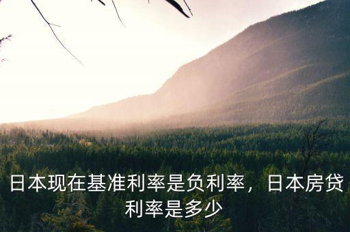 日本市場利率是為什么,日本現(xiàn)在基準(zhǔn)利率是負利率