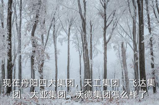 現(xiàn)在丹陽四大集團，天工集團、飛達集團、大亞集團、沃德集團怎么樣了