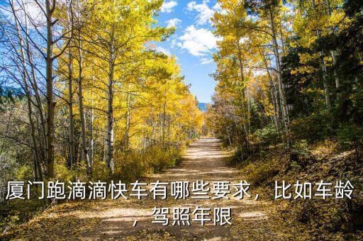 廈門跑滴滴快車有哪些要求，比如車齡，駕照年限