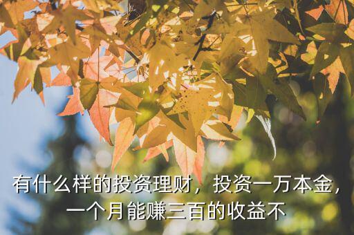有什么樣的投資理財，投資一萬本金，一個月能賺三百的收益不