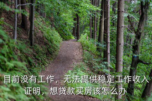 目前沒有工作，無法提供穩(wěn)定工作收入證明，想貸款買房該怎么辦