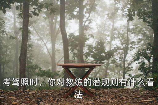 考駕照時(shí)，你對(duì)教練的潛規(guī)則有什么看法