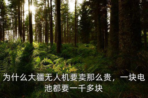為什么大疆無人機(jī)要賣那么貴，一塊電池都要一千多塊