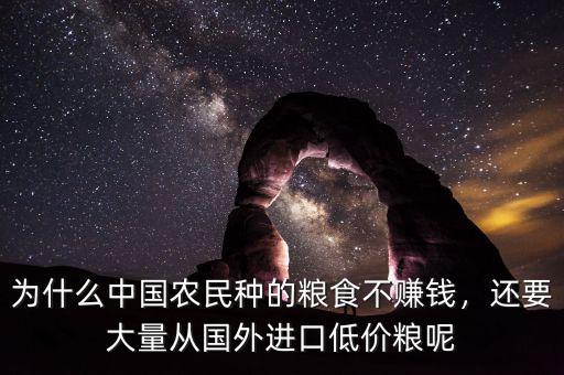 為什么中國農(nóng)民種的糧食不賺錢，還要大量從國外進(jìn)口低價(jià)糧呢