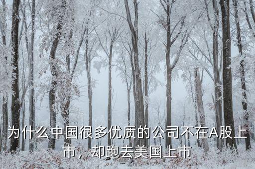 不盈利為什么能在美國上市,卻在美國上市。為什么