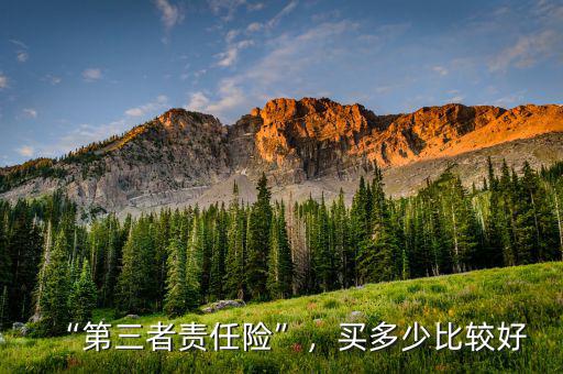 “第三者責(zé)任險(xiǎn)”，買多少比較好