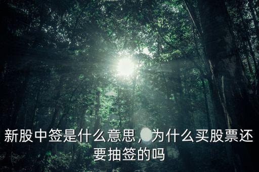 新股中簽是什么意思，為什么買股票還要抽簽的嗎
