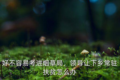好不容易考進煙草局，領導讓下鄉(xiāng)常駐扶貧怎么辦