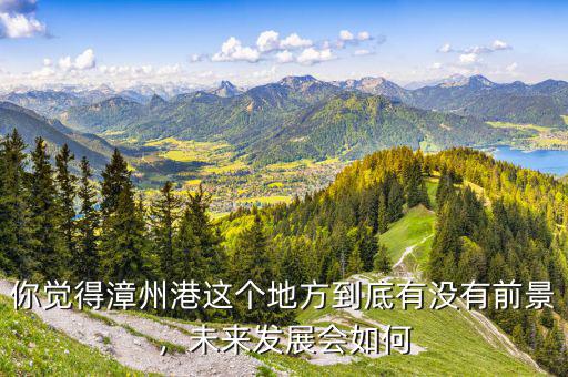 你覺(jué)得漳州港這個(gè)地方到底有沒(méi)有前景，未來(lái)發(fā)展會(huì)如何