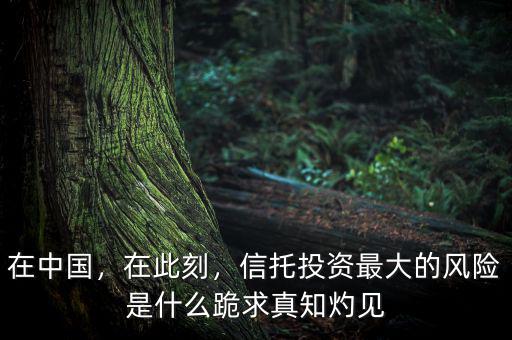 在中國，在此刻，信托投資最大的風(fēng)險是什么跪求真知灼見