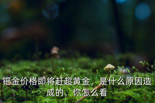 鈀金價格即將趕超黃金，是什么原因造成的，你怎么看