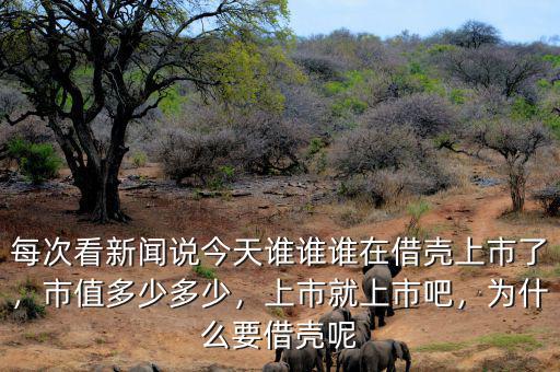 每次看新聞?wù)f今天誰(shuí)誰(shuí)誰(shuí)在借殼上市了，市值多少多少，上市就上市吧，為什么要借殼呢
