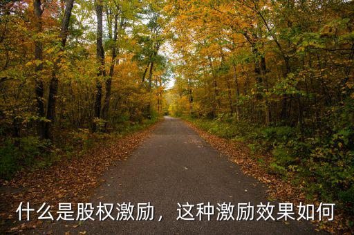什么是股權(quán)激勵，這種激勵效果如何