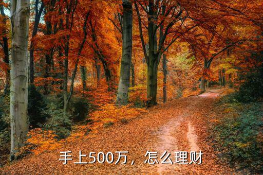 手上500萬，怎么理財(cái)