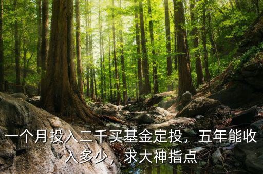 一個(gè)月投入二千買基金定投，五年能收入多少，求大神指點(diǎn)