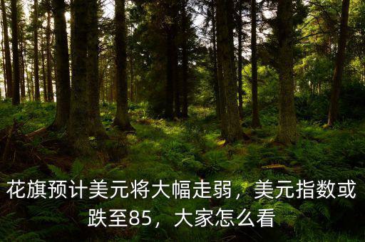 花旗預計美元將大幅走弱，美元指數(shù)或跌至85，大家怎么看