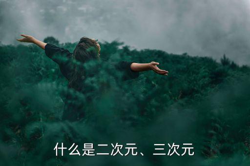 什么是二次元、三次元
