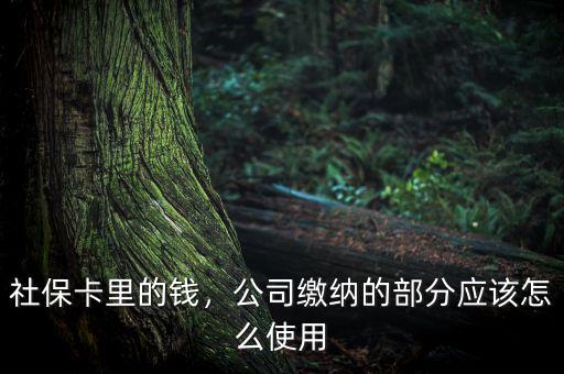 公司交的社保怎么用,社?？ɡ锏腻X